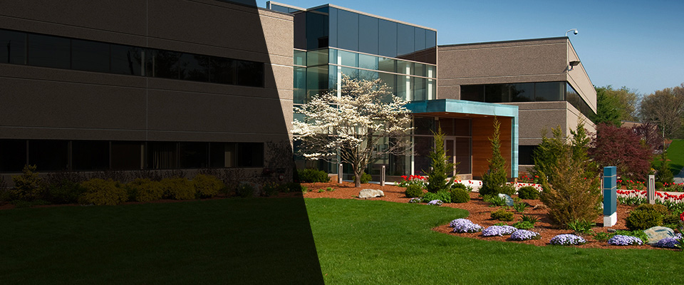 Hurricane Landscapers