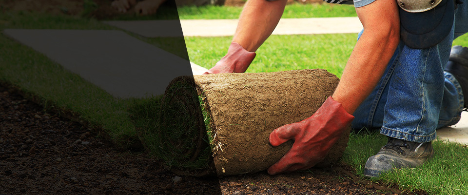 Hurricane Landscapers